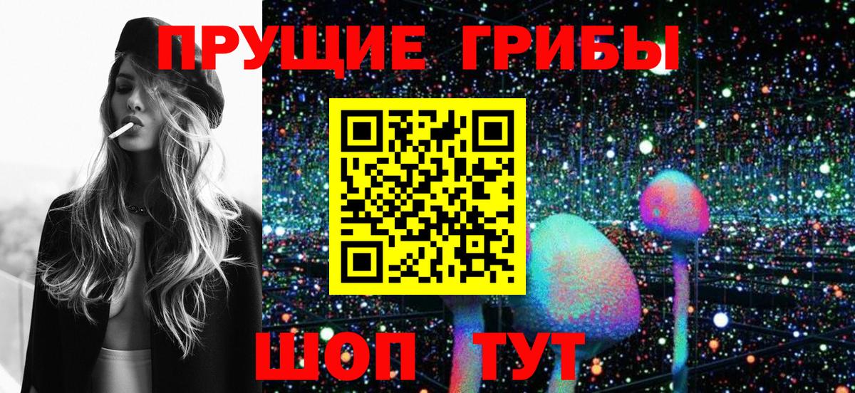 Псилоцибиновые грибы Psilocybe Клинцы