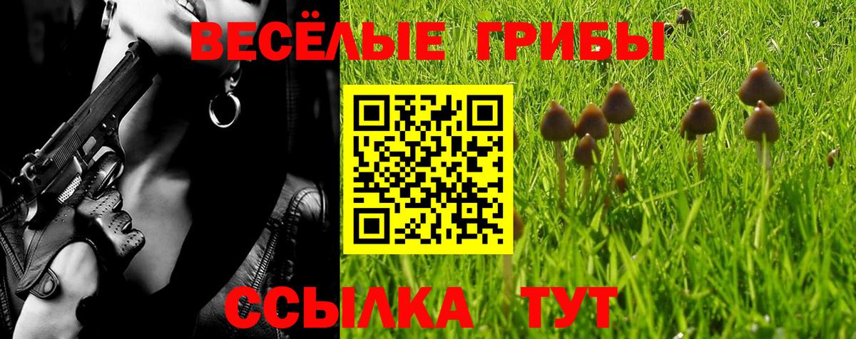 Клинцы  Галлюциногенные грибы ЛСД  Вход с VPN 